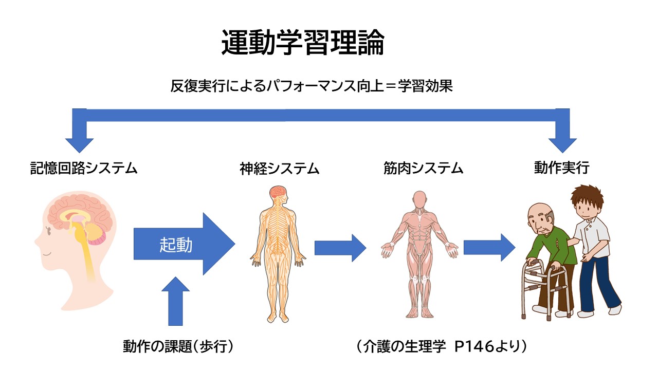 歩行能力は歩行によって再獲得される！＞ 運動学習理論を理解して、正しい歩行訓練を実施しよう！ - かいごのへや：健康寿命100年を楽しむ方法！